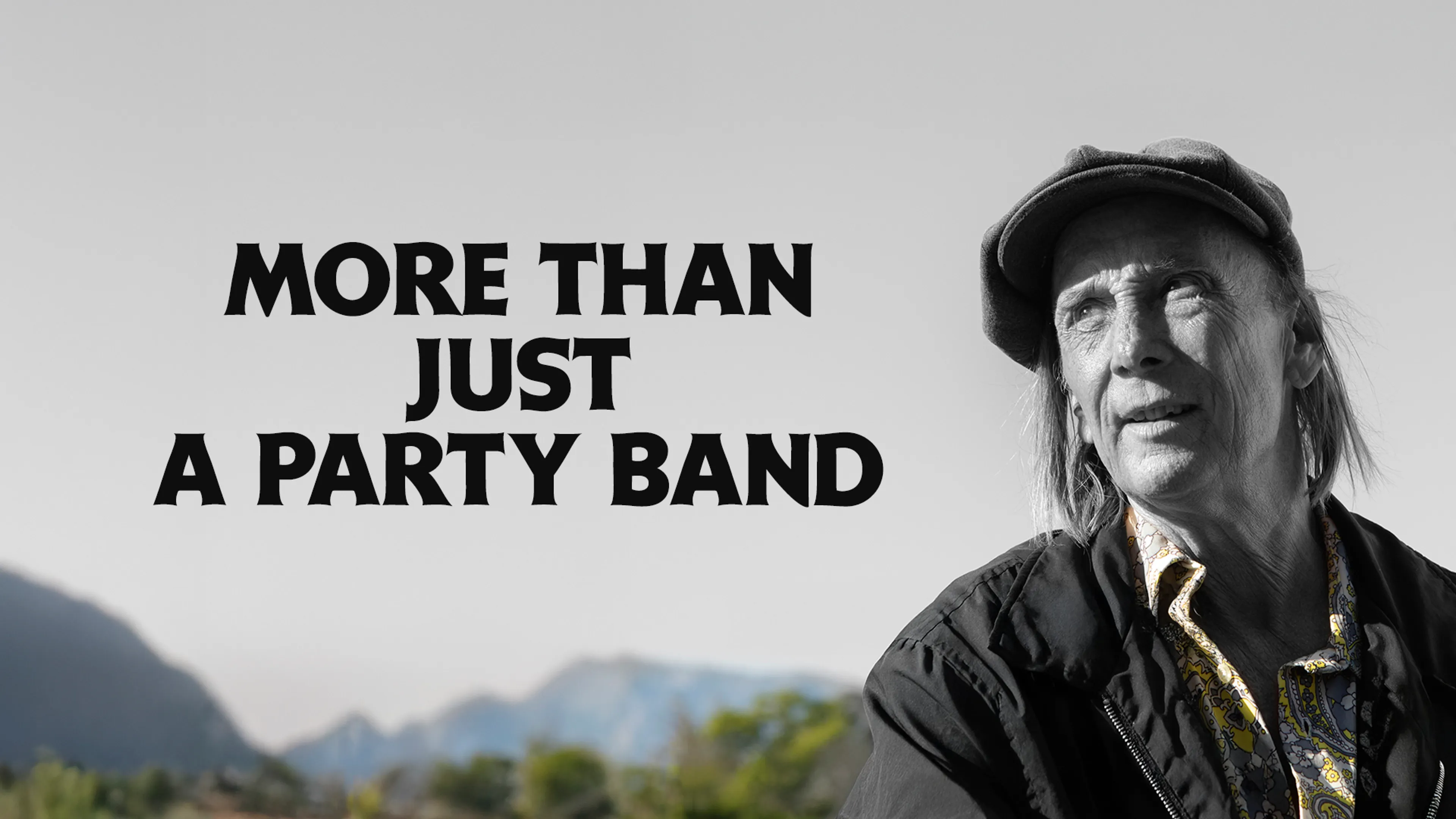 More Than Just A Party Band poster